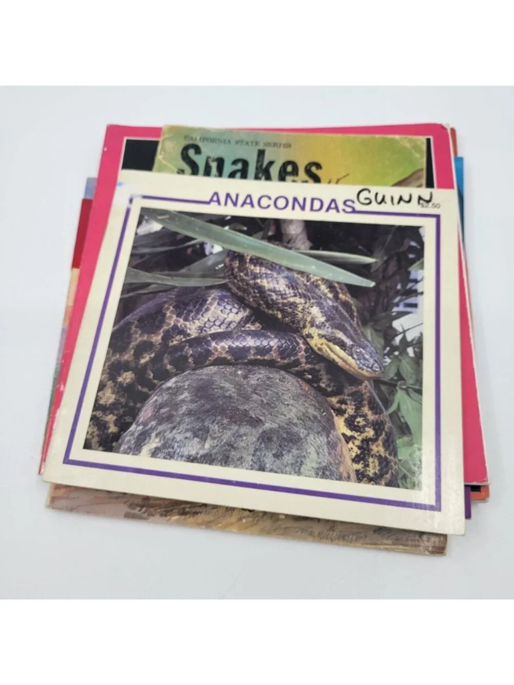 Children's Non-Fiction Book Lot - Nature, Spiders, Snakes - BK217